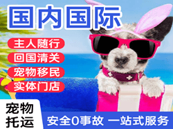 汉中城固航空快递国际宠物托运 【国